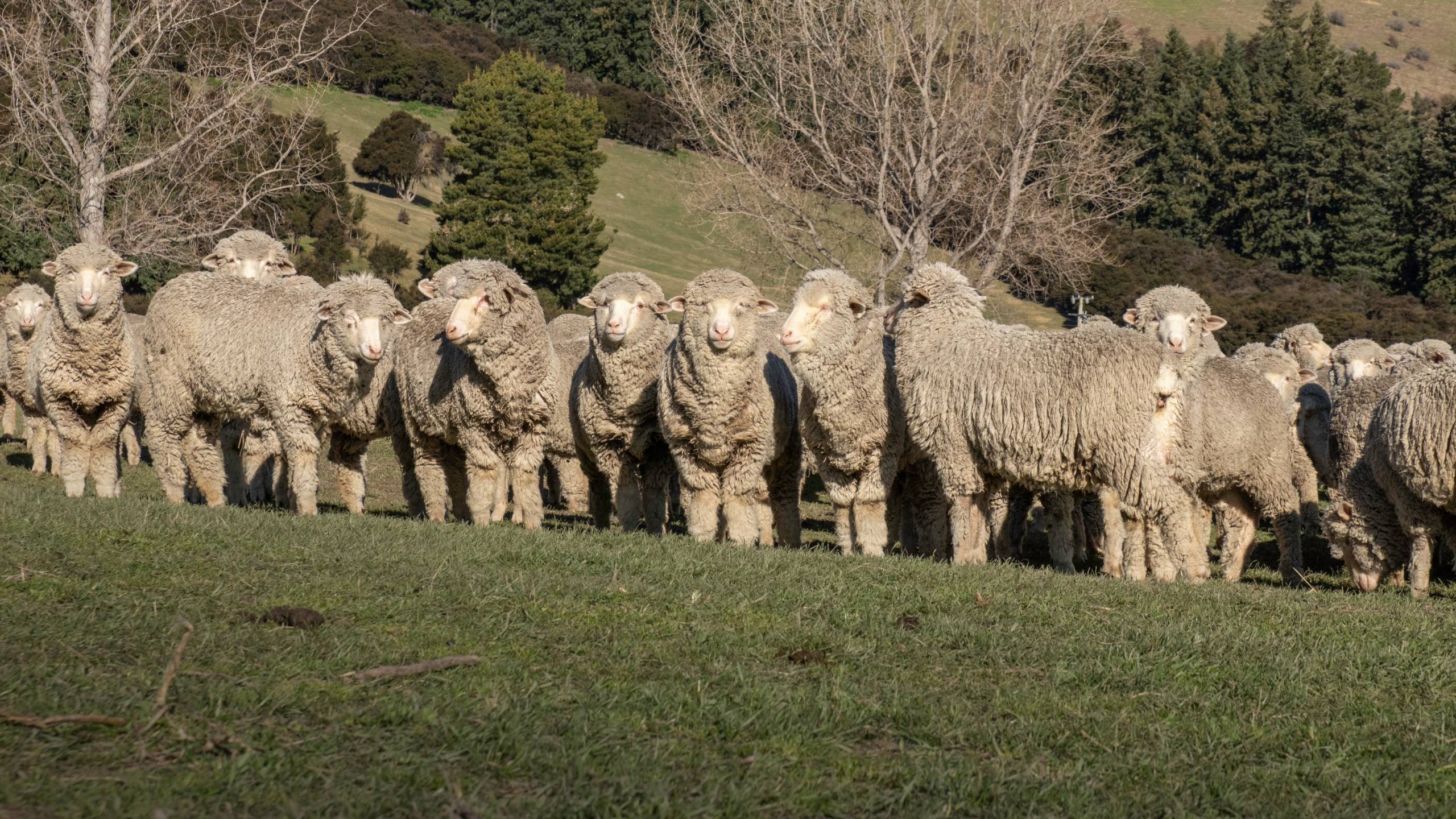 [03] Regenerative pioneers